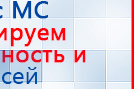 Пояс электрод купить в Чапаевске, Электроды Меркурий купить в Чапаевске, Скэнар официальный сайт - denasvertebra.ru